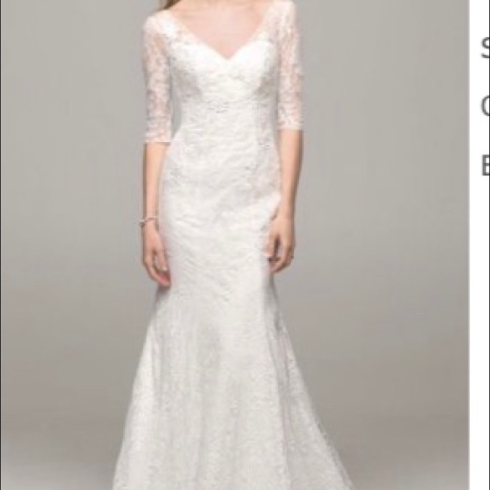David’s Bridal Lace Wedding Dress/Petite
